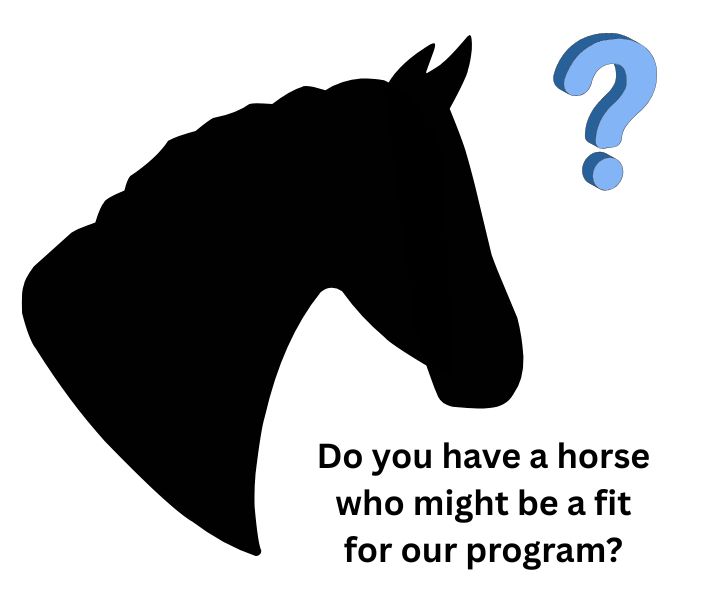 Do you have a horse who might be our next program horse